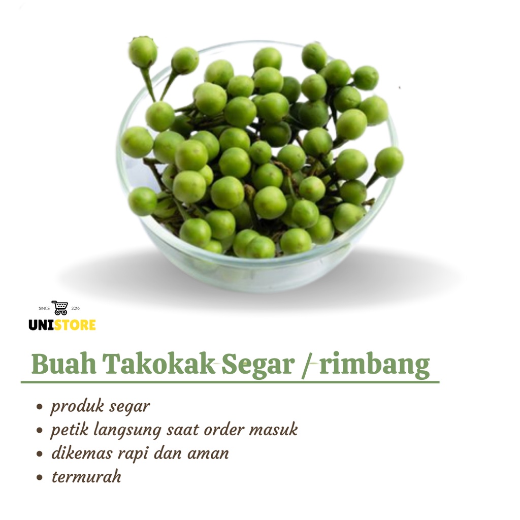 

1kg Buah Takokak Segar Tekokak terung pipit (solanum torvum)