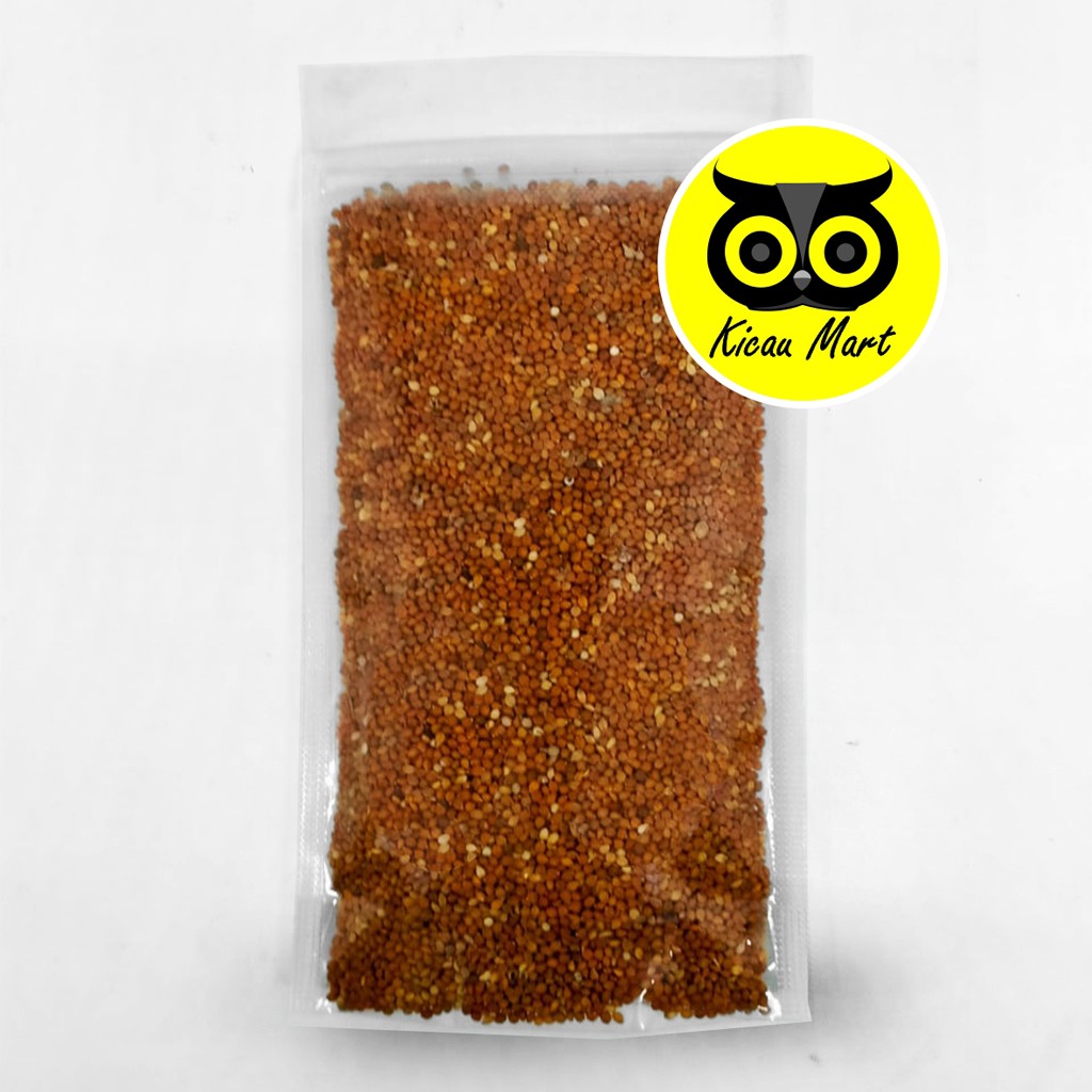 BIJI JEWAWUT BIJI JAWAK KUNYIT JUWAWUT SEKOI FOXTAIL MILLET MILET JAWAWUT PAKAN BURUNG KENARI JAWARF