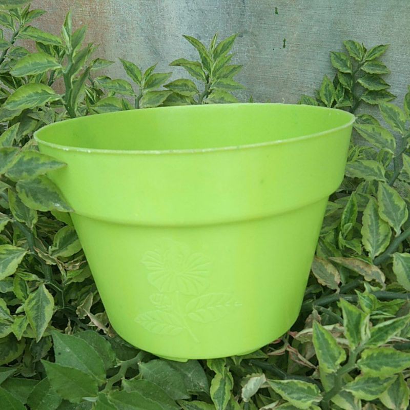 Pot bunga / pot tanaman / Pot warna hijau / pot