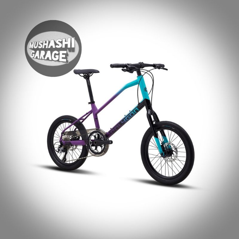 Polygon Zeta 2 Minivelo
