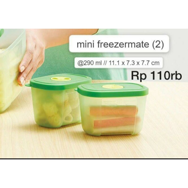 Tempat Penyimpanan Kulkas Murah/ FreezerTUPPERWARE | Mini Freezer with Dial 2 Pcs @290ml