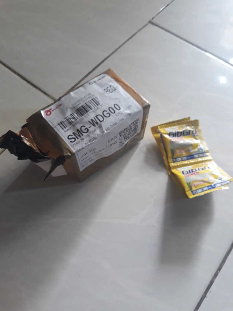 Zpt Gibgro Panen Memperbanyak Bulai Dan Isi Buah   Kemasan 1g