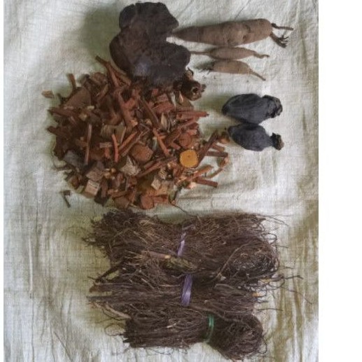 

OBAT GONDOK PATEN SEMBUHKAN RACIKAN KHUSUS DARI AKAR DAN TUMBUHAN PILIHAN RAMUAN DAYAK