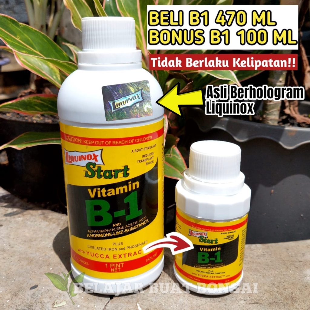 VITAMIN B1 LIQUINOX 470ML BELI 1 GRATIS B1 100ML