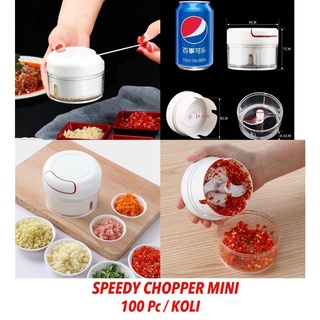 BLENDER DAGING STAINLESS 2 LITER MEAT GRINDER BLENDER KAPSUL CAPSULE CHOPPER DAGING FBL