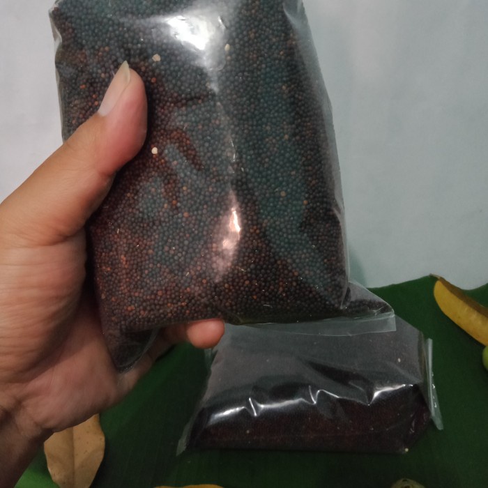 

Biji Sawi Hitam Kering 500 gram