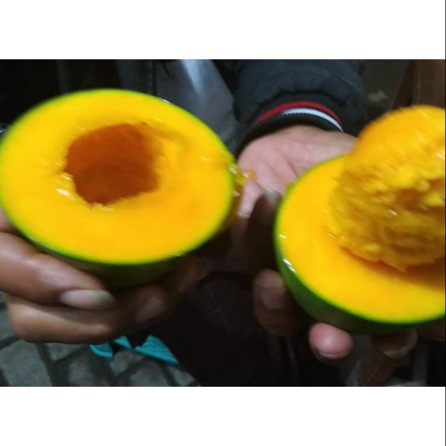 

Mangga Alpukat