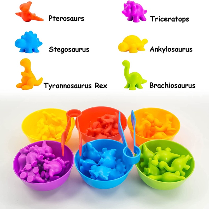 Color Classification Toys Mainan Montessori Anak Mainan Edukasi Mainan Berhitung Sensory Play Sensory Toys Mainan Sensorik Anak