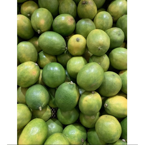 

Buah Lemon Lokal Satuan atau perbuah