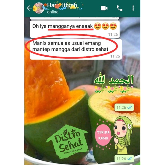 Mangga Alpukat Bangil Asli MATANG POHON / Mangga Klonal 21 (kiloan)