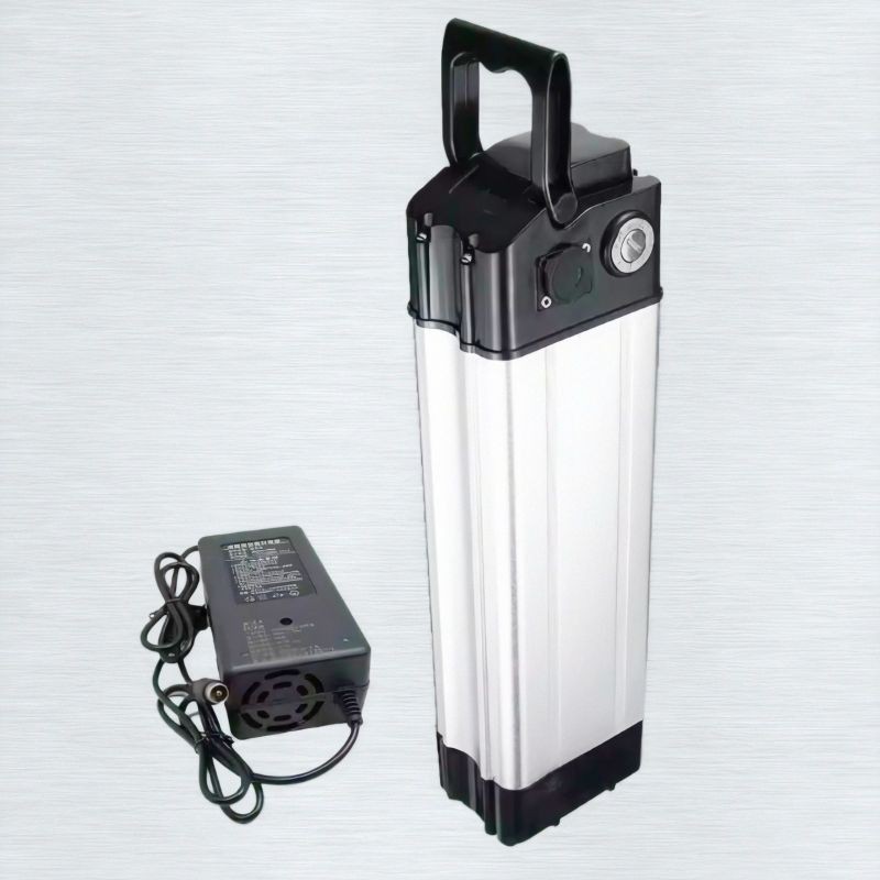 baterai lithium 36v 10ah + charger