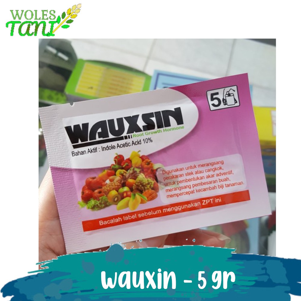 Wauxin 5 Gram Auxin Penumbuh Akar