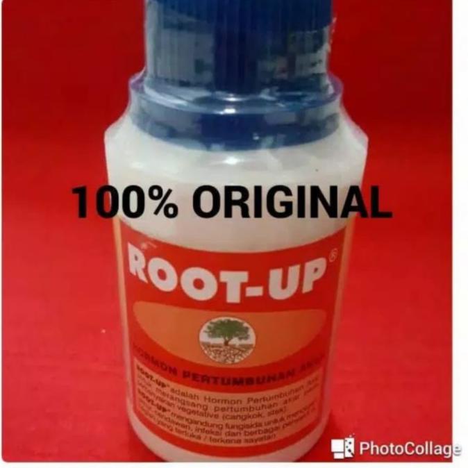 ZPT/perangsangg akar/obat cangkok dan stek/Root up AP196