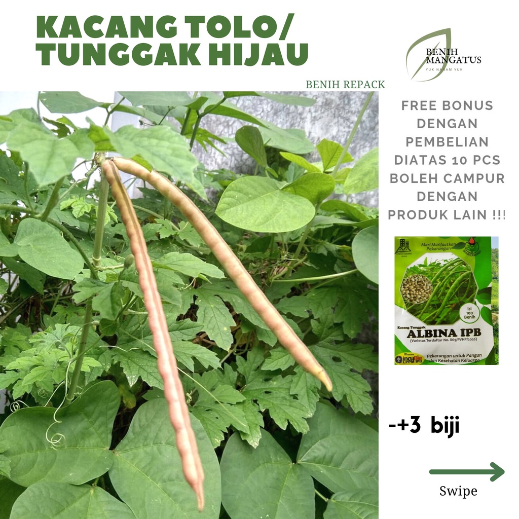 Jual C Benih Kacang Tolo Tunggak Hijau Biji Tanaman Sayuran Hidroponik Murah Repack