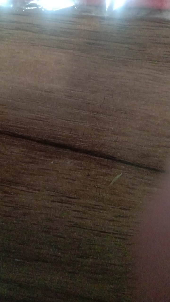 Go Send Only!!! Tissue Tisu Livi Roll Smart Due Toilet Gulung Naked 205s