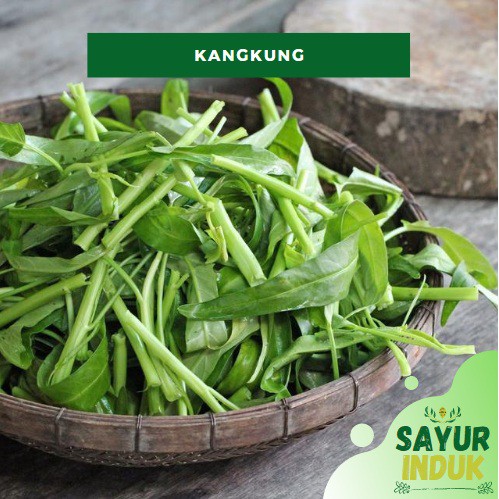 

Sayur Induk - Kangkung 0.4 - 0.5 Gram Per Ikat Fresh Grade A Kangkung