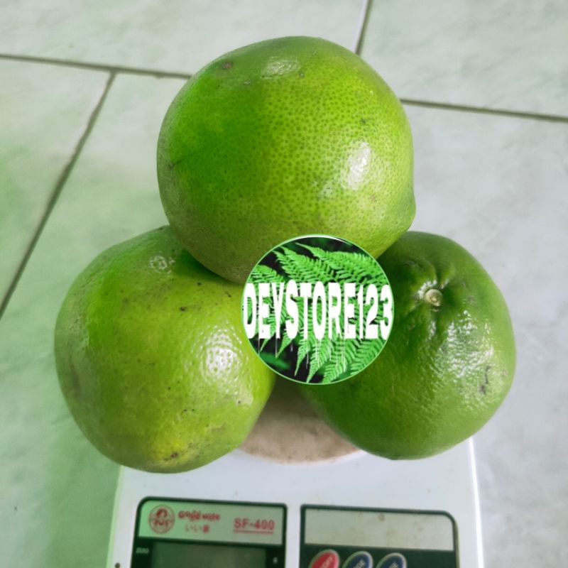 

Buah jeruk garut mini per 1 kg.