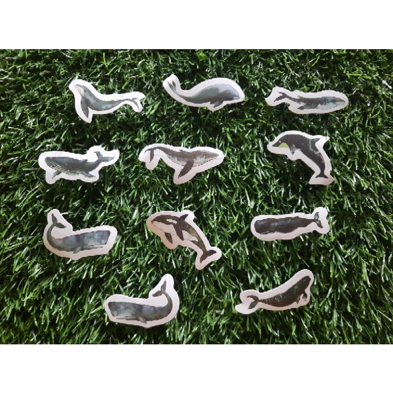 

Stiker Aesthetic Lucu (Ikan Laut)