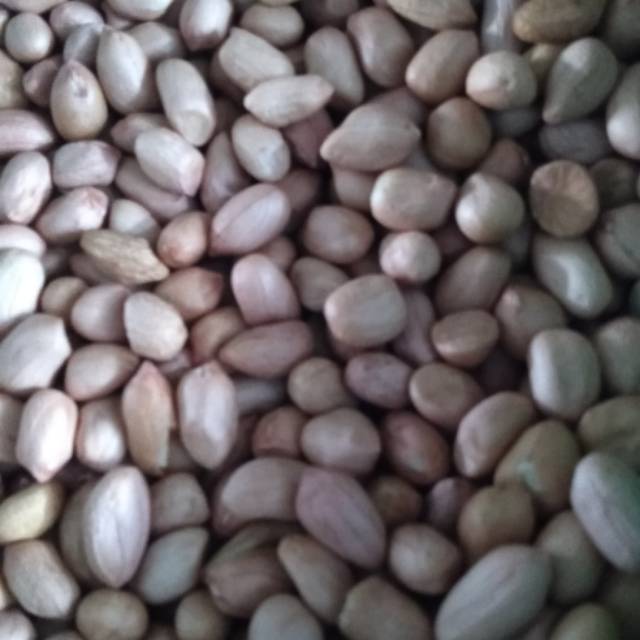 

Kacang Tanah 1kg