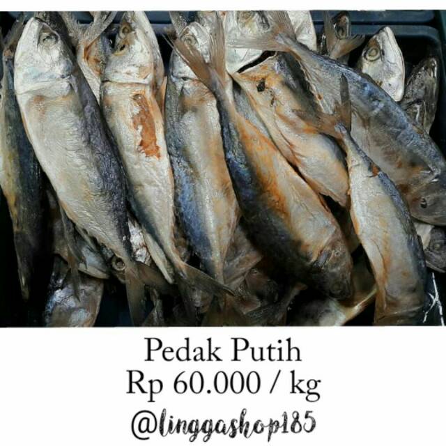 

Pedak Putih / Ikan Peda