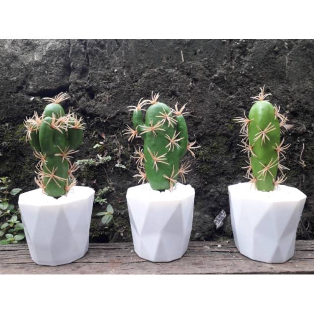 Tanaman Kaktus imitasi bahan plastik karet pot melamin