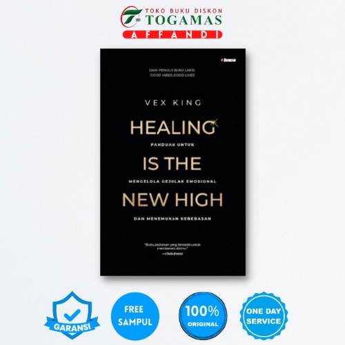 HEALING IS THE NEW HIGH | VEX KING