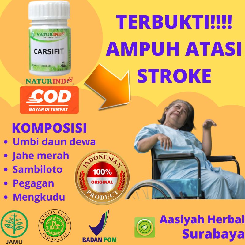 Obat Stroke Ampuh Obat Struk Stroke Herbal Obat Struk lumpuh Stroke Ringan Struk Ringan Strok Menahu