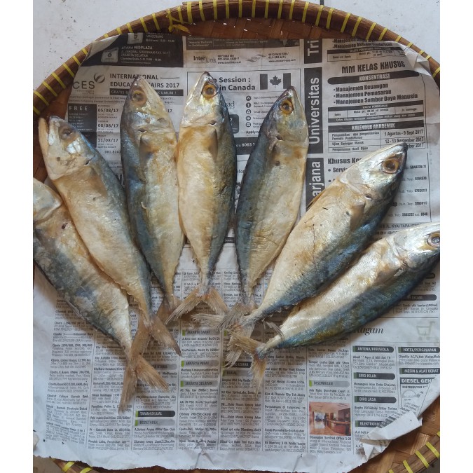 

IKAN PEDA ASIN FRESH 1KG IKAN PEDA