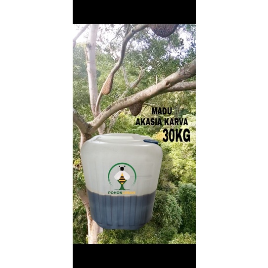 

madu asli bunga akasia carva 20 kg madu langsung dari peternak