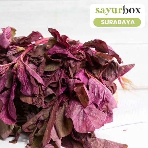 

Bayam Merah Conventional 250 gram (Sayurbox) - SURABAYA