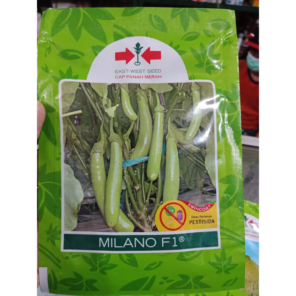 1100 btr Benih Terong Hijau Milano Bibit Terung Panjang Cap Panah Merah