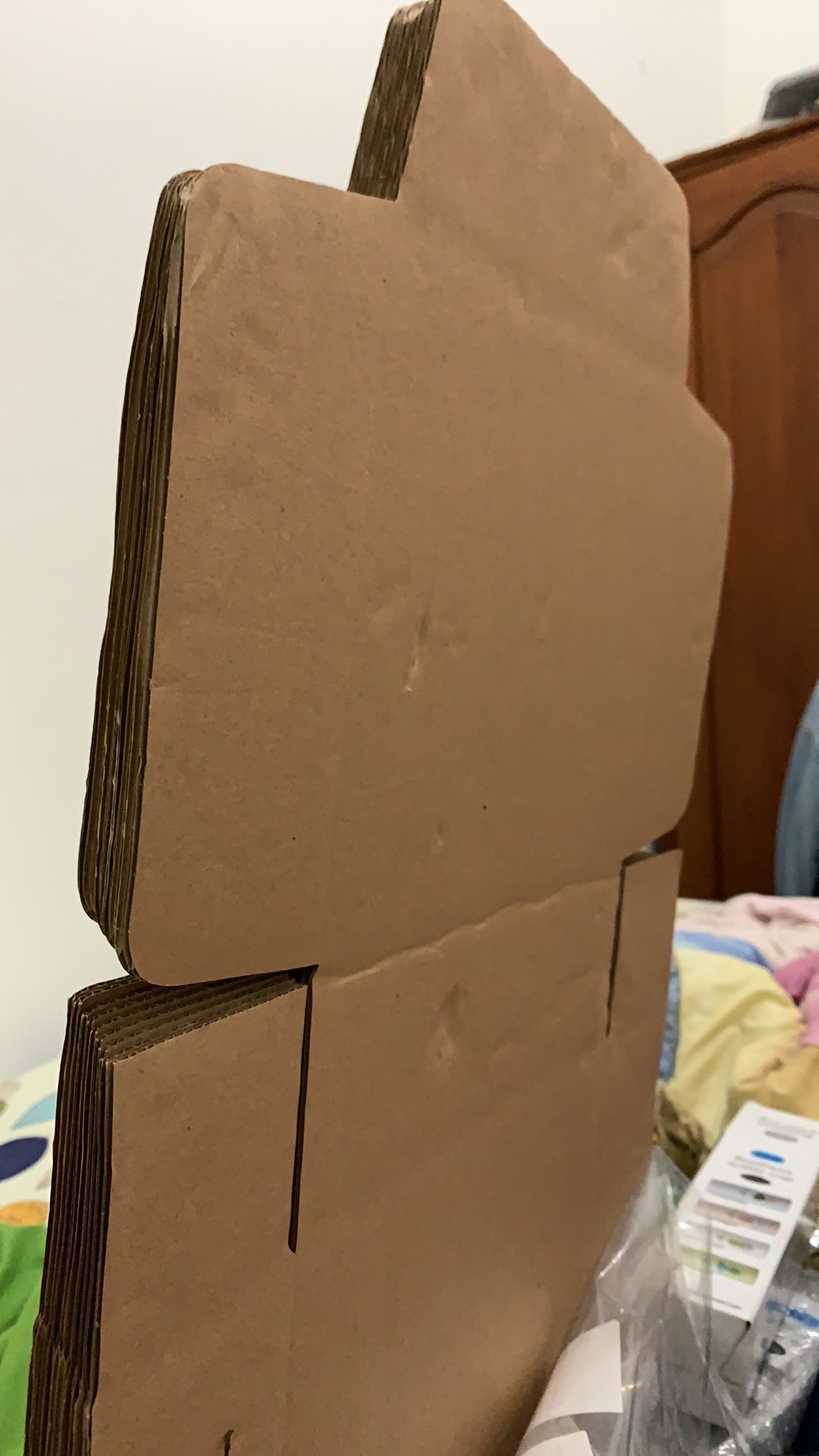 Kardus 22x22x7.5 Dus Pizza Pakaian Baju Kue Wajib Bubble Wrap Kalau Mau Aman