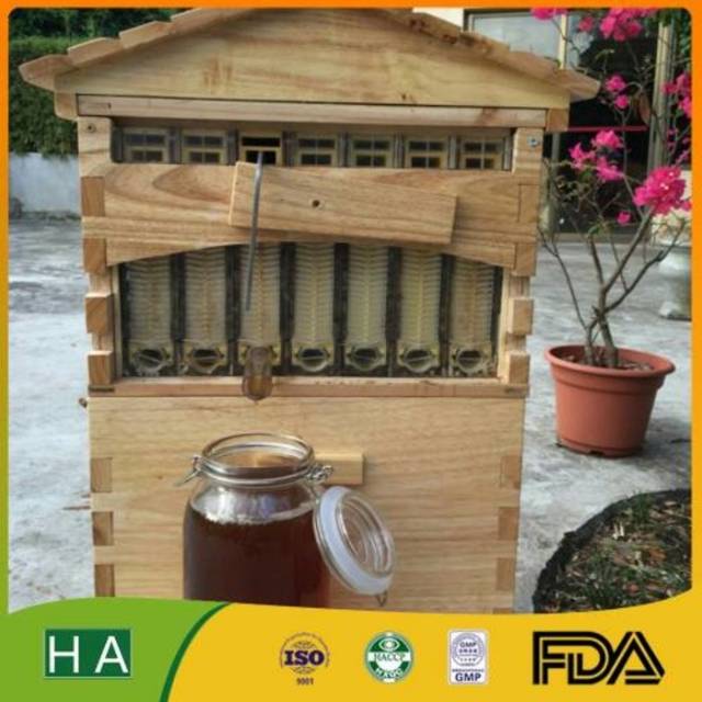 Rumah kayu flow hive madu