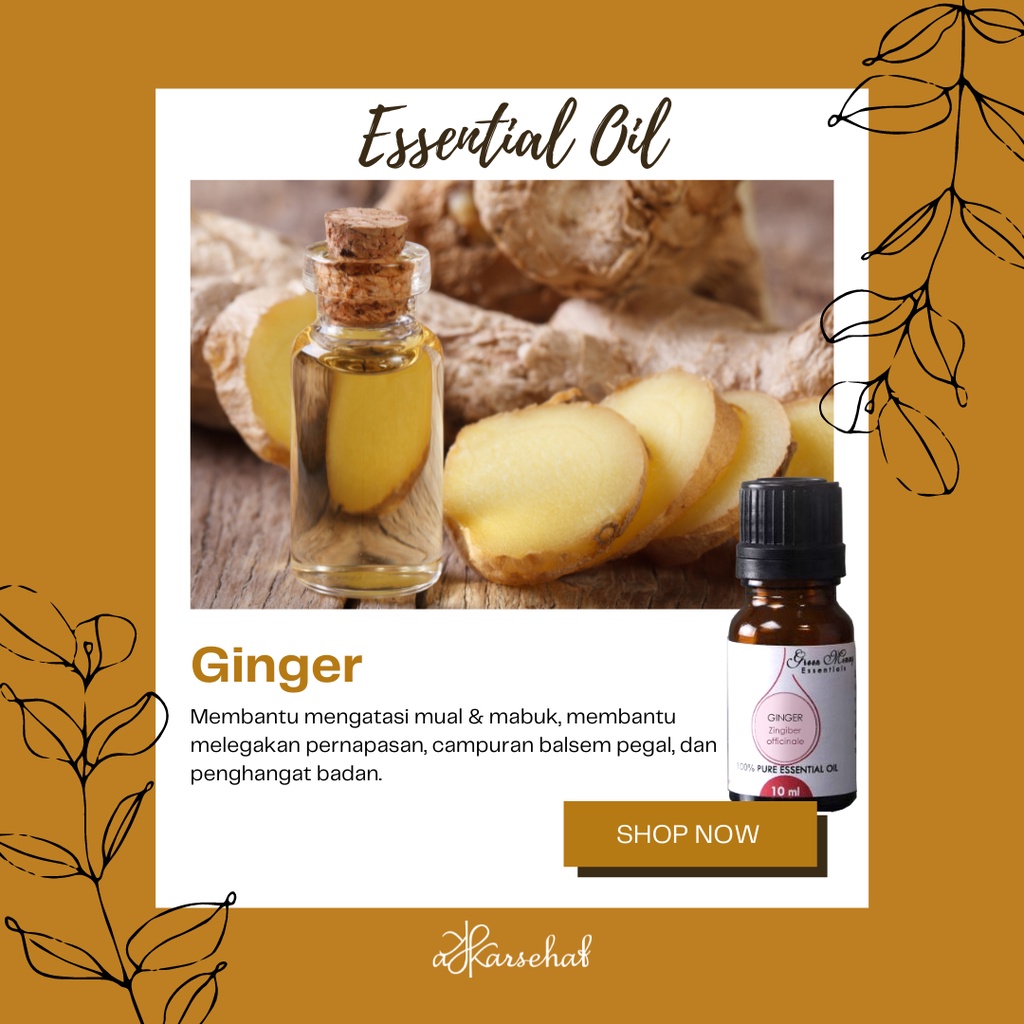 Ginger Essential Oil/Minyak Atsiri/Aromaterapi Jahe GMS 5-10 ml