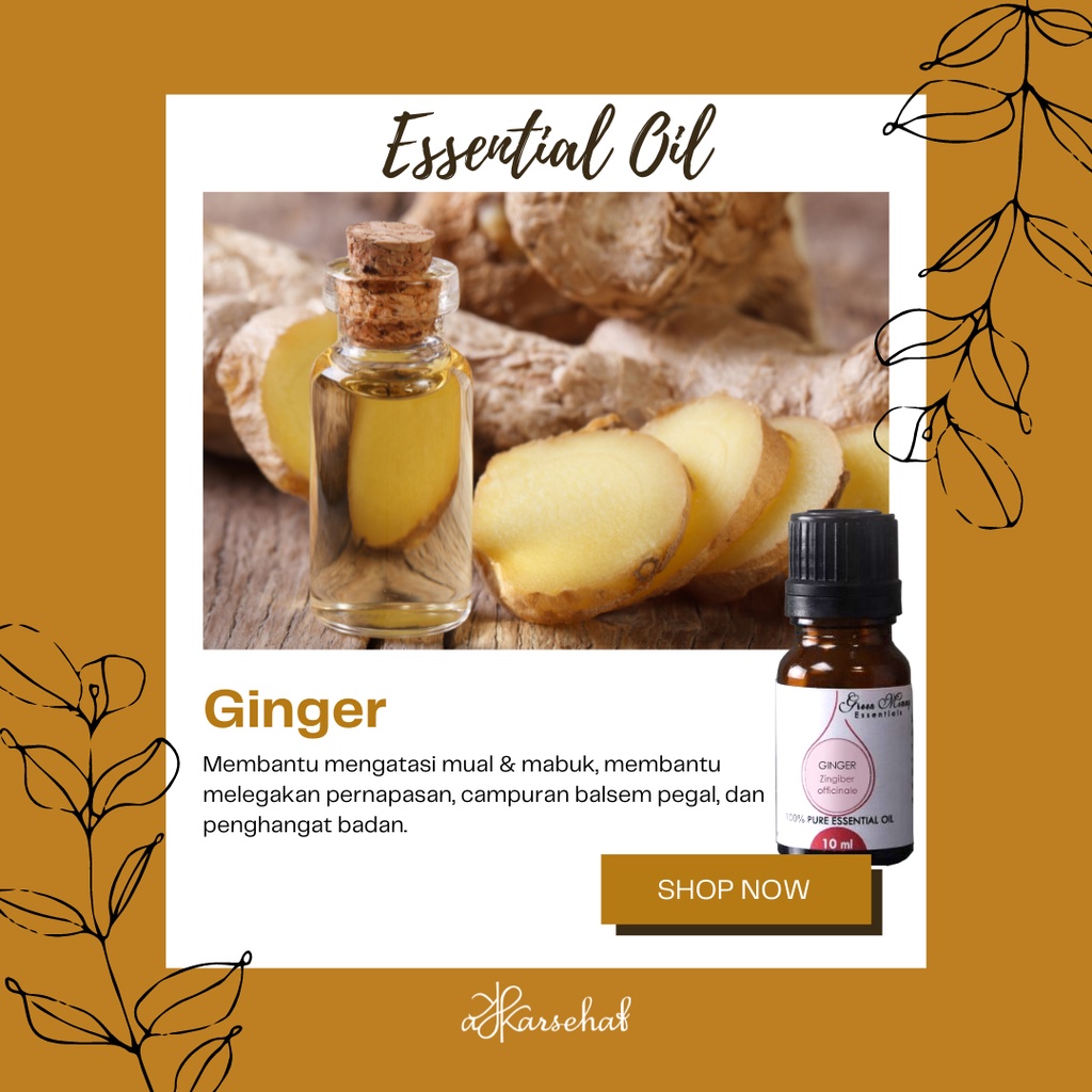 Jual Ginger Essential Oil/Minyak Atsiri/Aromaterapi Jahe GMS 5-10 Ml ...