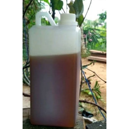 

Madu kelulut Itama 1 kg