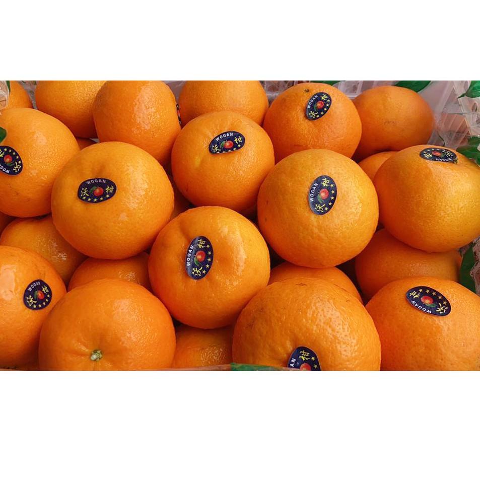 

[PRODUK 0IVDZ] BUAH JERUK WOGAN WOKAM PREMIUM JERUK KUPAS IMPORT IMPOR 500 GRAM [HAPPY FRUIT] L08