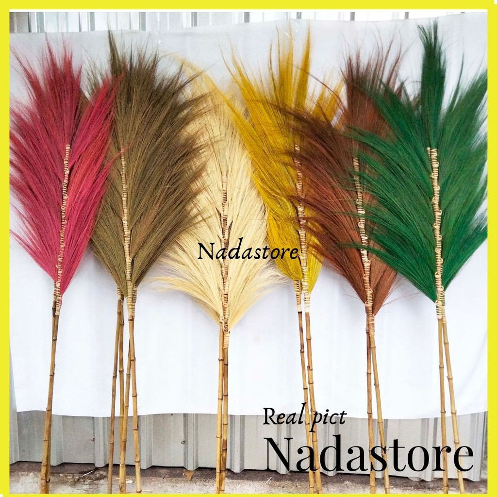 Rayung Stik Decoration / Bunga Kering / Rayung Pampas / Rayung Dekorasi / dried Flowers