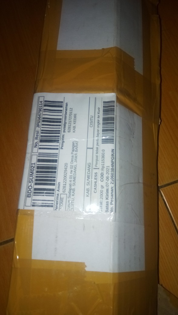 New Produck!! Pohon Kurma Azwa Jantan Dan Betina - Kl 1