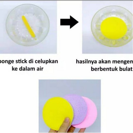 Sponge Stick / Kentang (Per pack isi 12)