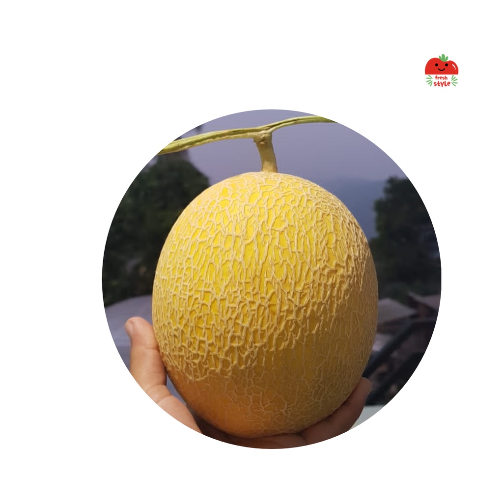

Melon Golden Emerald (Inthanon)
