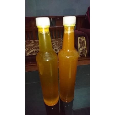 madu hutan tawon gung