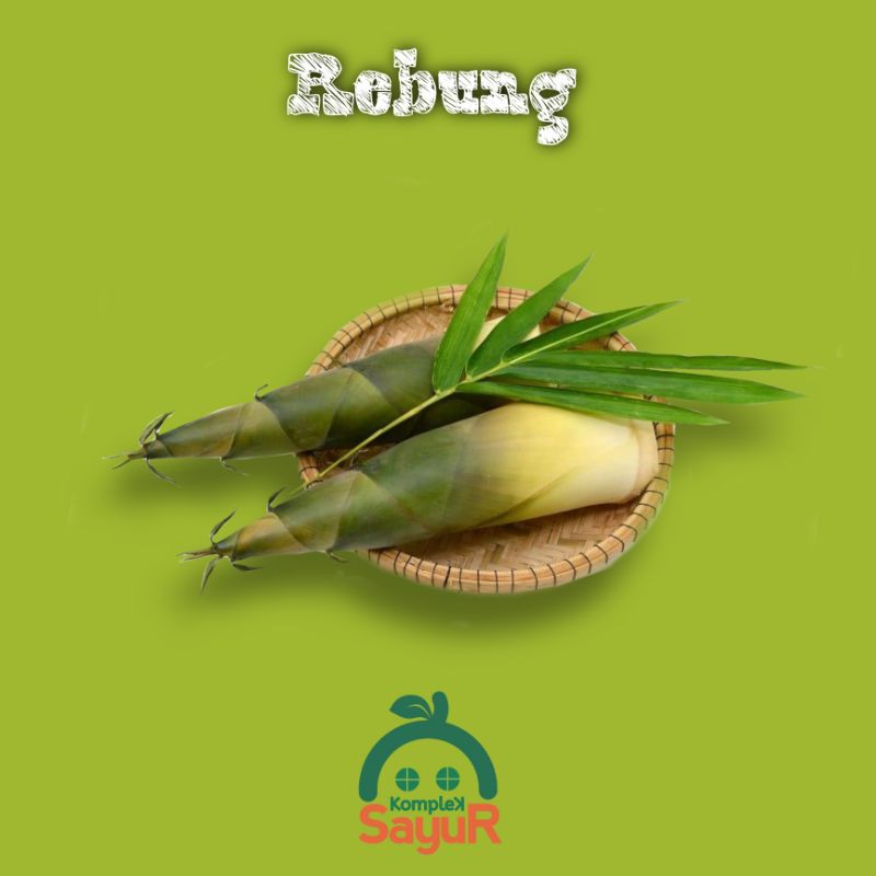 

Rebung / Bambu Muda Segar