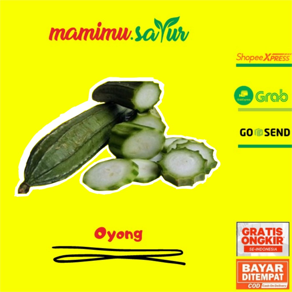 

OYONG GAMBAS HIJAU SAYURAN SEGAR SAYUR SEGAR FRESH PREMIUM BESAR PASAR ONLINE MURAH JAKARTA - 1 KG