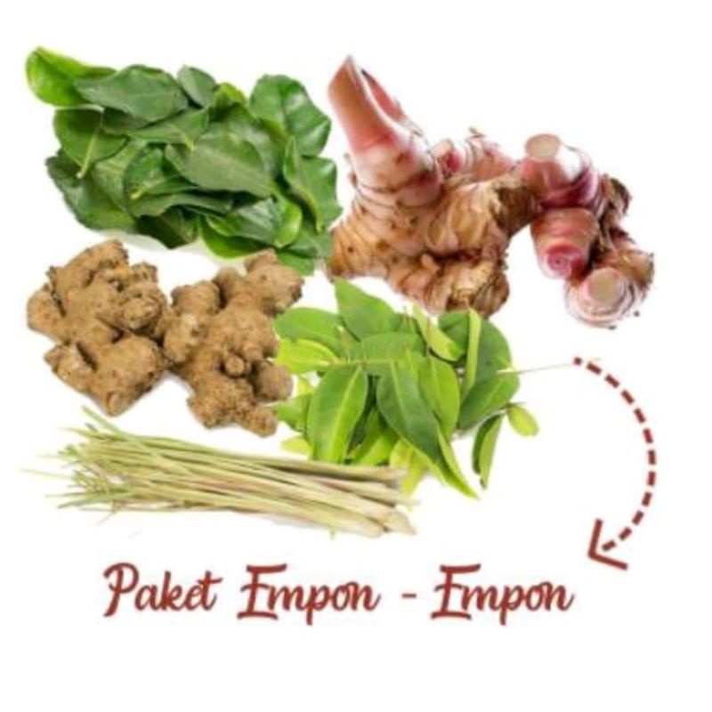 

paket empon empon