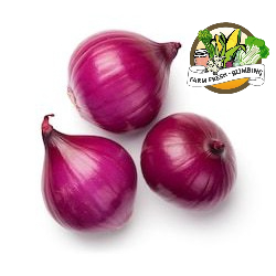 

Bawang Merah 500gr