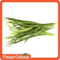 

Daun Pandan / Segar / Wangi