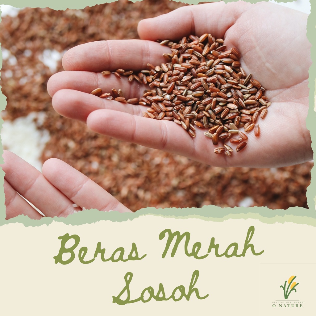 

Beras Merah Sosoh Organik (Sangat Cocok untuk Diet dan Diabetes) - Kemasan 1 Kg