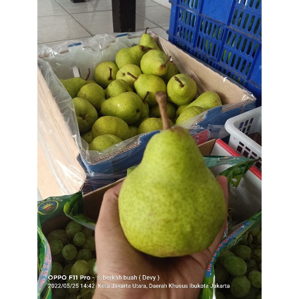 

pear pacham 1kg