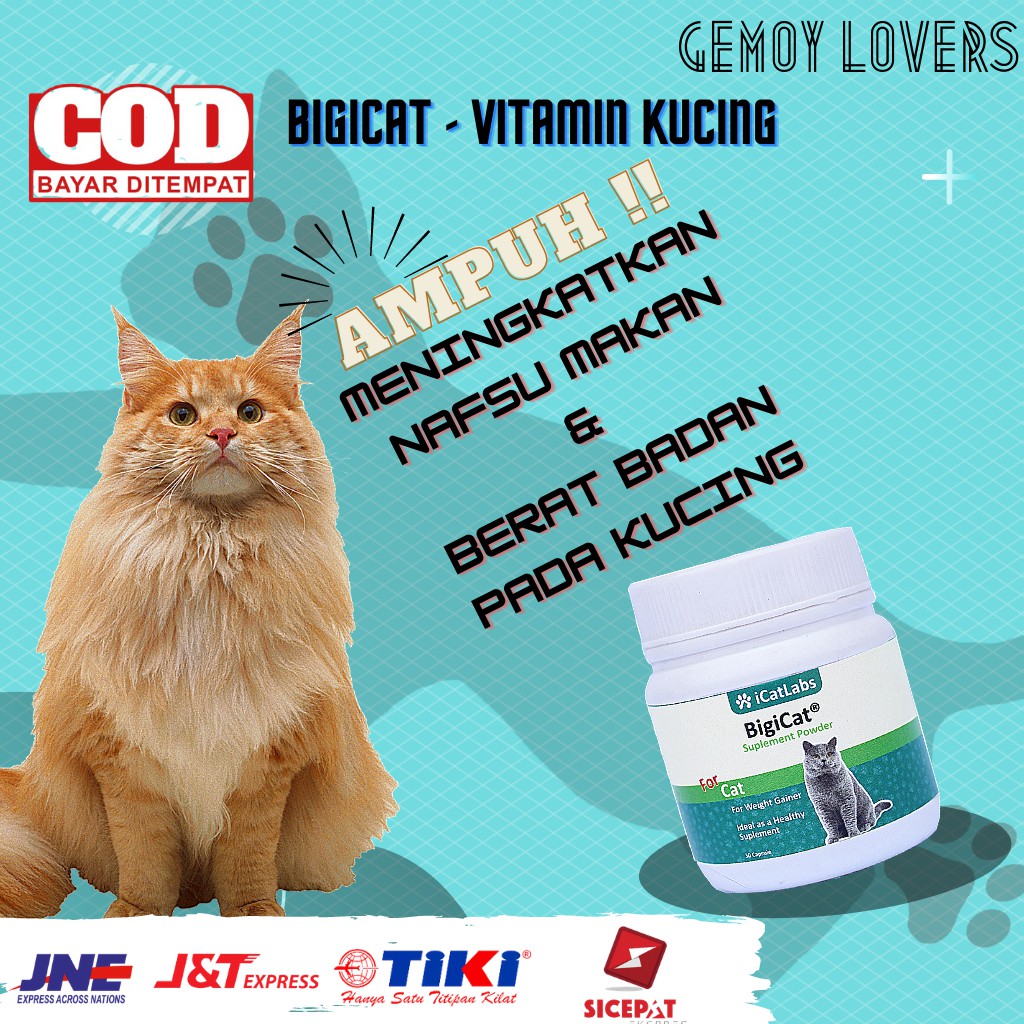 Bigicat - Vitamin Obat Kucing penambah nafsu makan kucing obat makanan kucing penggemuk kucing